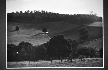 Photograph - Glen Park Farm, Selby
