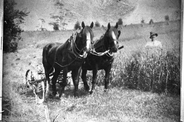 Photograph - Glen Park Farm, Selby