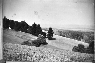 Photograph - Glen Park Farm, Selby