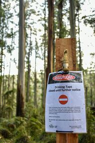 Photograph - Views of Menzies Creek during Covid lockdown 2020
