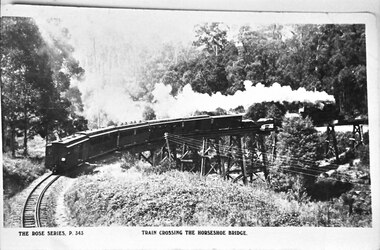 Photograph, Train Crossing The Horseshoe Bridge