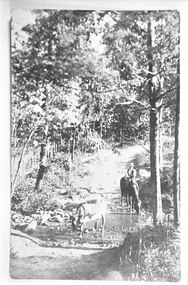 Photograph - Cow, horse and rider near creek