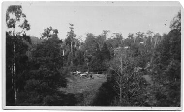 Photograph - Belgrave