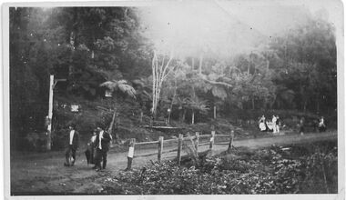 Photograph - Belgrave, Beauty Bend