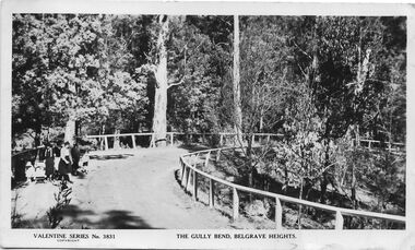 Postcard - The Gully Bend, Belgrave Heights