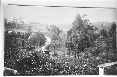 Photograph - Main Road, Menzies Creek and church