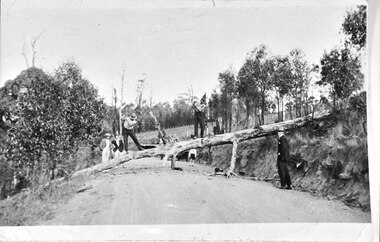 Photograph - Chopping up a fallen tree just before Herman's Corner