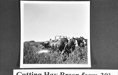 Photograph - Reaper and binder at Breen's farm
