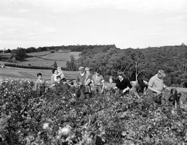 Photograph - Spykers family at Avonsleigh c.1960