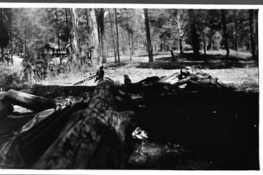 Photograph - Fairy Dell in Belgrave Lake Park c.1940s