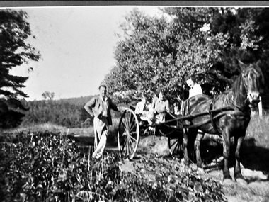 Photograph - Adults and children with a horse and cart in Belgrave South, c.1940s