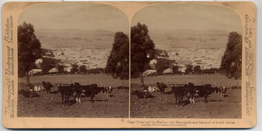 Stereographic Image, 1900