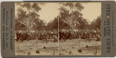 Stereographic Image, 1900