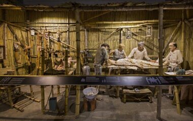 Diorama, 2015