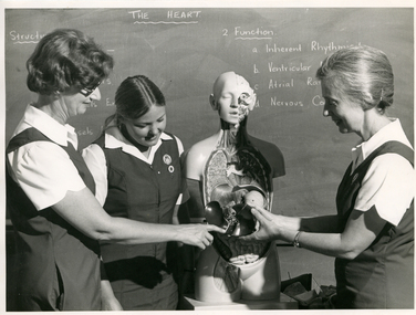 An Education session at Royal District Nursing Service (RDNS)