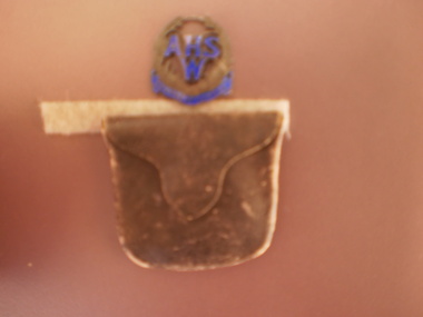 WAHS Badge, Circa 1910