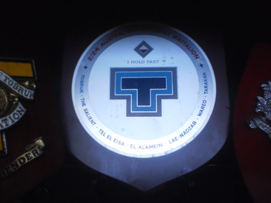 2nd/24th Batallion Shield, 1945