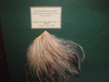 Mervyn 'Banjo' Harris Hat Plume, 1944