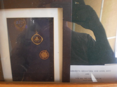 WAHS Badges, 1909