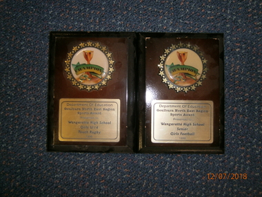 WHS Sports Award, 1998