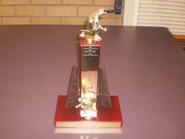 WHS Trophy- Sport, 1998-2000