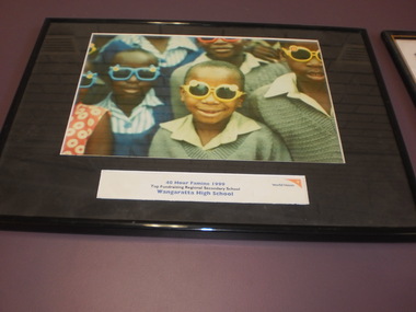 WHS Framed Certificate, 1999
