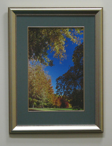 Photograph, Colour, Mossvale Park 1, 2006