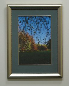 Photograph, Colour, Mossvale Park 2, 2006