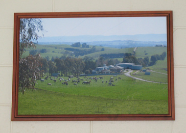 Photograph, Framed, 2003