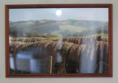 Photograph, Framed, 2003