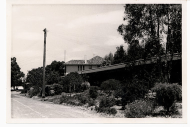 Photograph, Looking towards a building at Gresswell Sanatorium - Mont Park