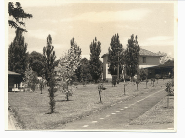 Photograph, Photo, taken in June 1946,  of buildings and gardens of Gresswell Sanatorium Mont Park