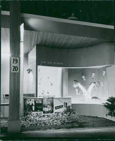 Photograph, Photo of a "Play safe at home" promotion & Tuberculosis (TB), anti vermin posters in the fore "SWAT that fly" & "Starve rats" - Department Of Health - Publicity material