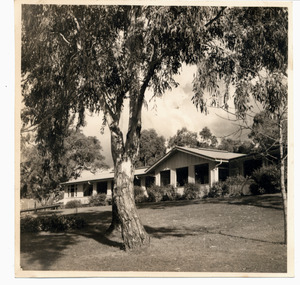 Photograph, Gresswell Sanatorium Mont Park - Ward 11 - looking out over gum tree and lawn - Circa 1940s