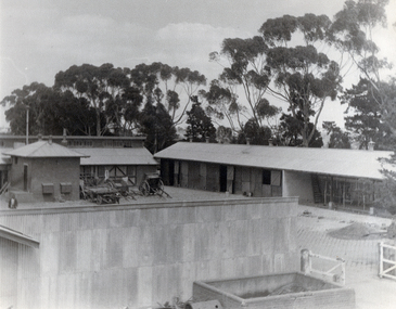 Photograph, Sheds & Horse Stables - Horse drawn carts to the left - on right are Milking stalls - Janefield Training Centre - Black & White Photo