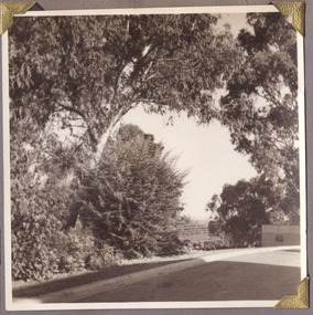 Photograph, Photo of driveway and landscape at Gresswell Sanitorium - Mont Park