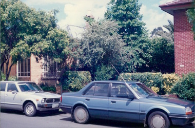 Photograph, City & Suburban Landscapes - Cars parked in street - Photo taken by Property Management Services / Public housing - Inner City Melbourne - Early 1980s
