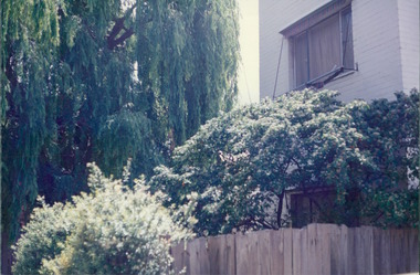 Photograph, Fence, trees & two storey tenement - City Landscapes - Photo taken by Property Management Services / Public housing - Inner City Melbourne - Early 1980s
