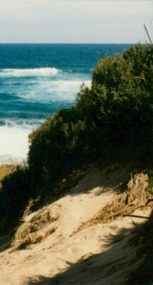 Photograph, Blairgowie Camp - CALOOLA TRAINING CENTRE - SUNBURY - March 1987