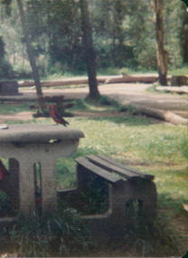 Photograph, Picnic table with Rosella - Occupational Therapy Program 1981 / Country Music Festival & Christmas Party 1982 - CALOOLA TRAINING CENTRE - SUNBURY - SERIES 251