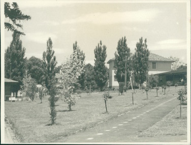 Photograph, Landscape view of buildings, footpaths and trees of Gresswell Sanitorium - Mont Park