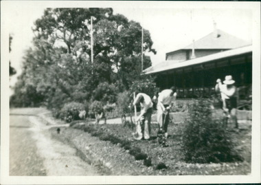Photograph, Patients digging in garden beds close to open air ward at Gresswell Sanitorium Mont Park
