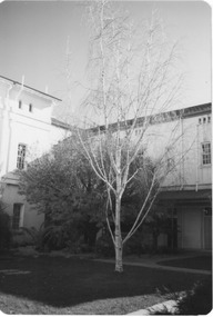Photograph, Mayday Hills Hospital - Beechworth