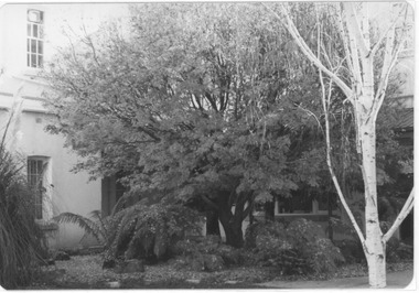 Photograph, Mayday Hills Hospital - Beechworth