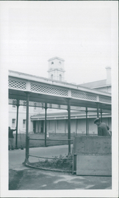 Photograph, Clients / staff sweeping & maintaining the interior garden at Aradale / Ararat Hospital - Black & White Photo