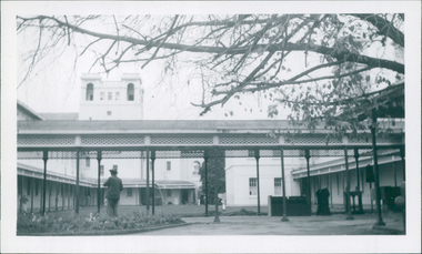 Photograph, A patient maintaining the garden in the central courtyard of Aradale / Ararat Hospital