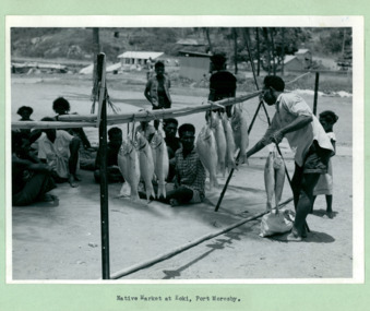 A fisherman displaying his catch at the native fish market at Koki, Port Moresby, Papua New Guinea - Department of Health – National Fitness Office (Sports & Recreation) – Historical Press Release Photo Collection