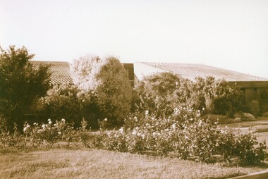 Photograph, Colanda Grounds - Exterior of Administration entrance prior to renovations