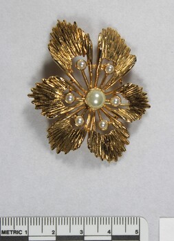 Front of a gold-toned metal brooch with one large central faux pearl surrounded by six smaller faux pearls, with a 5 cm black and white scale.