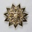 Back surface of a gold toned metal brooch from the Sarah Coventry Pty. Ltd. jewellery range.